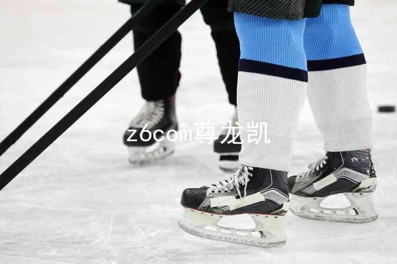z6com尊龙凯
