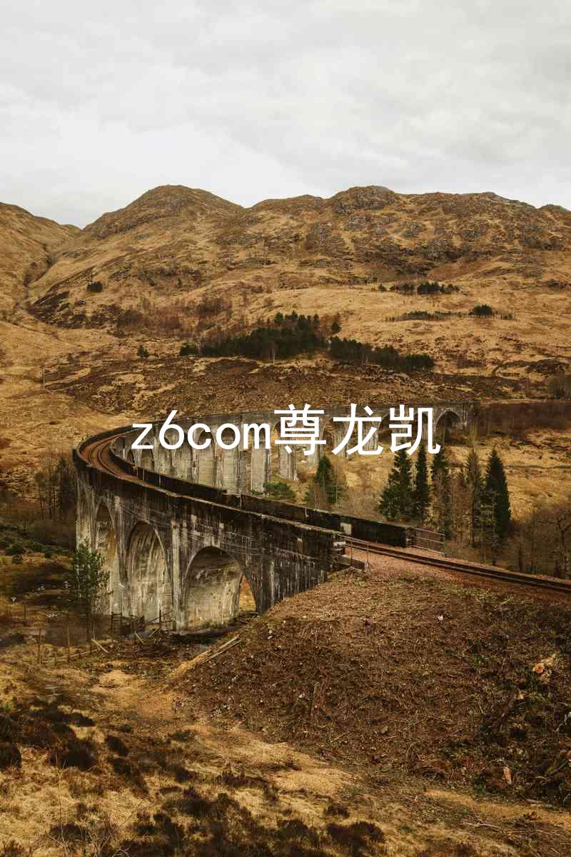 z6com尊龙凯
